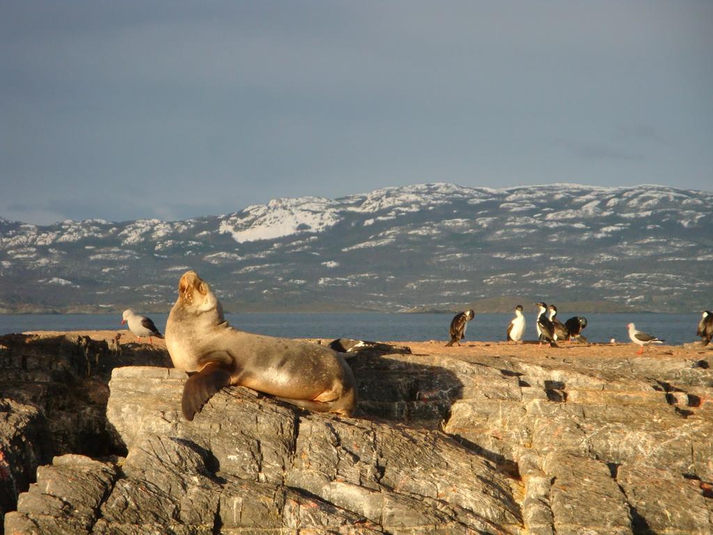 Bagu Ushuaia Hotel ภายนอก รูปภาพ